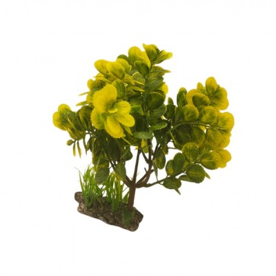 ΔΙΑΚΟΣΜΗΤΙΚΟ ΦΥΤΟ ΕΝΥΔΡΕΙΟΥ 11.5Χ25CM